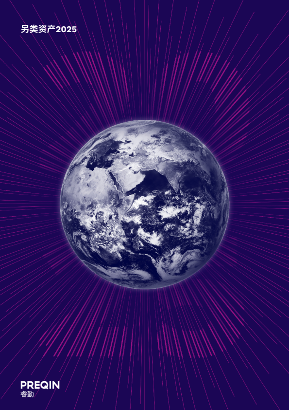 另类资产2025