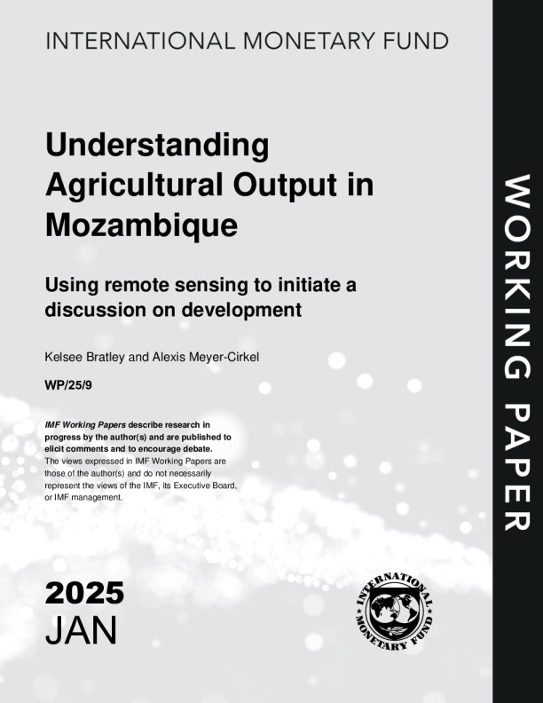 了解莫桑比克农业产出：利用遥感技术启动关于发展的讨论