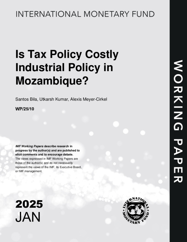 是税收政策在莫桑比克等同于产业政策吗？