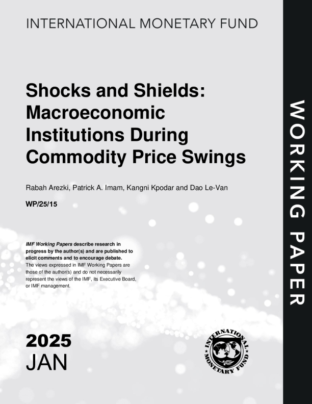 冲击与防护：在商品价格波动期间的宏观金融体制