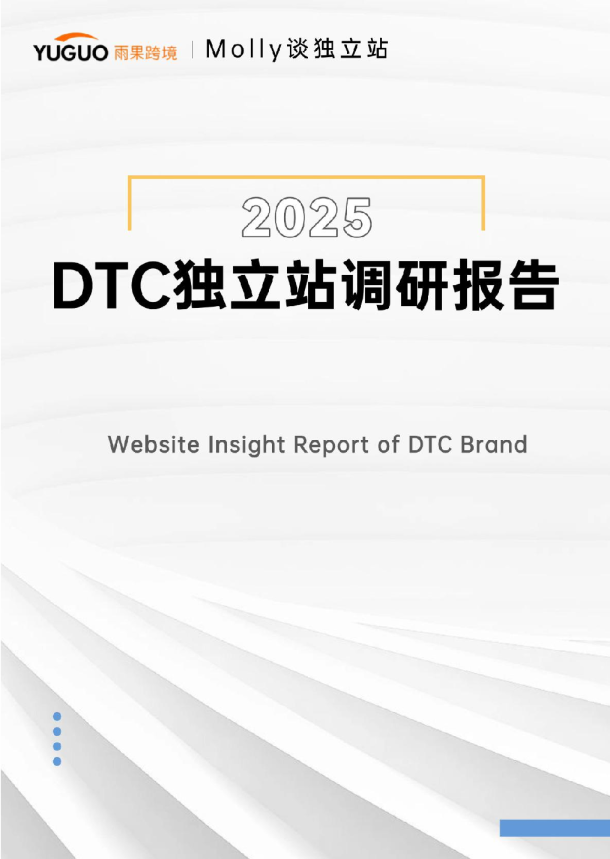 2025DTC独立站调研报告
