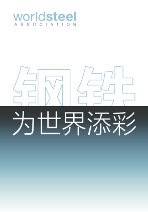 2024钢铁：为世界添彩报告