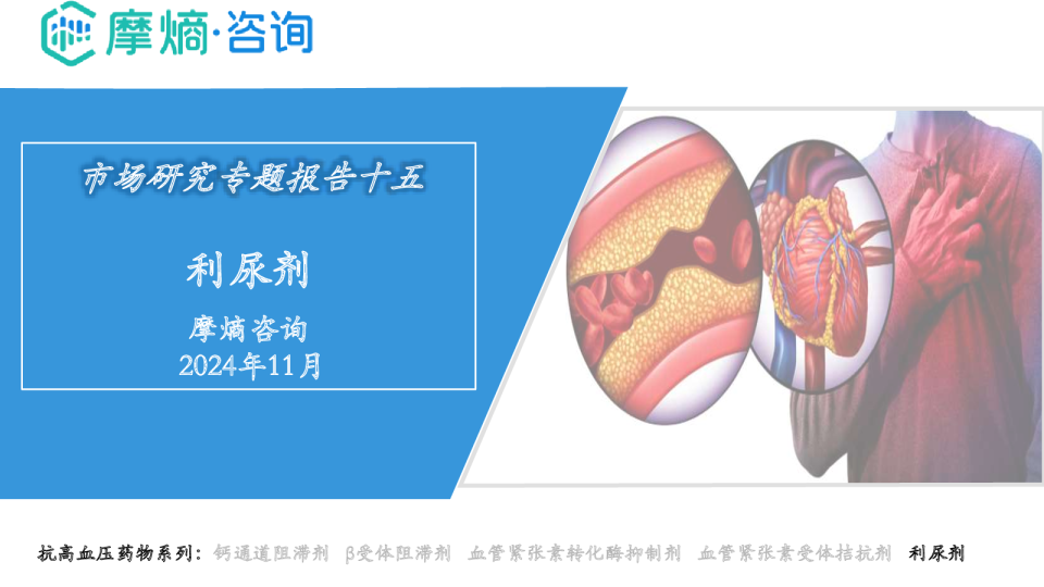 利尿剂市场研究专题报告