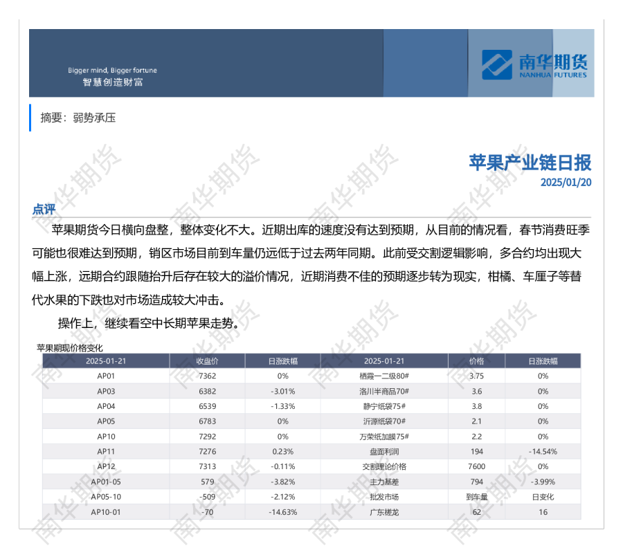 南华苹果日报20250120