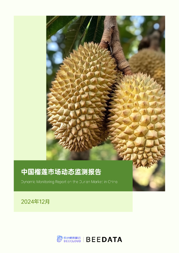 中国榴莲市场动态监测报告(2024年12月)