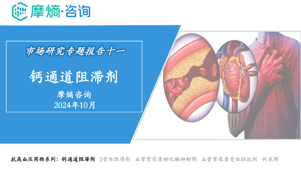 2024年市场研究专题报告十一-钙通道阻滞剂