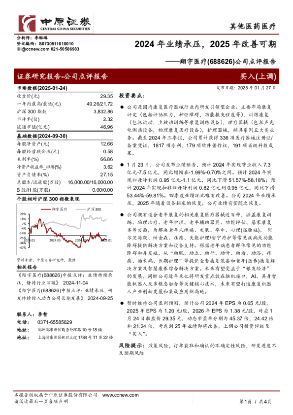 公司点评报告：2024年业绩承压，2025年改善可期