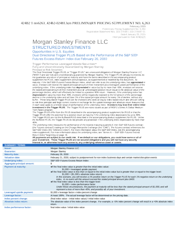 摩根士丹利美股招股说明书(2025-01-29版)