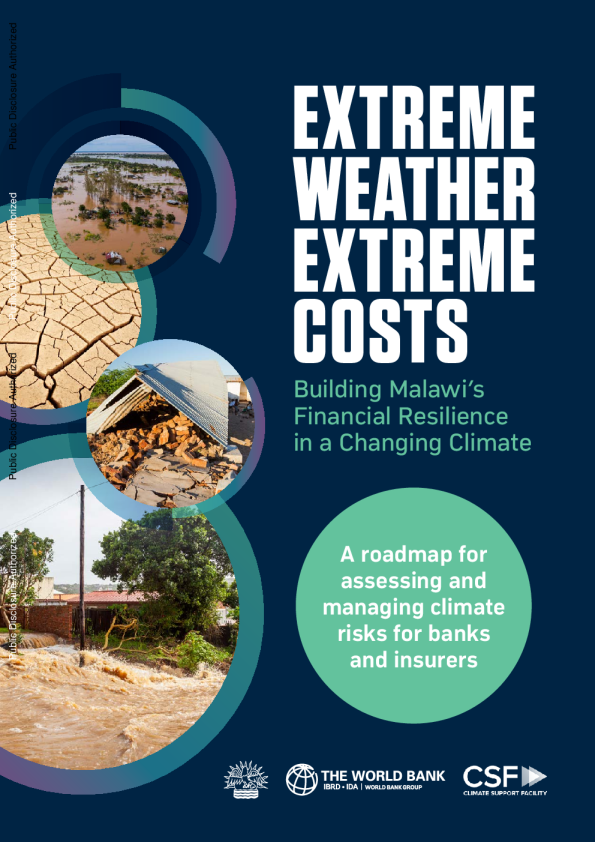 极端天气 极端代价