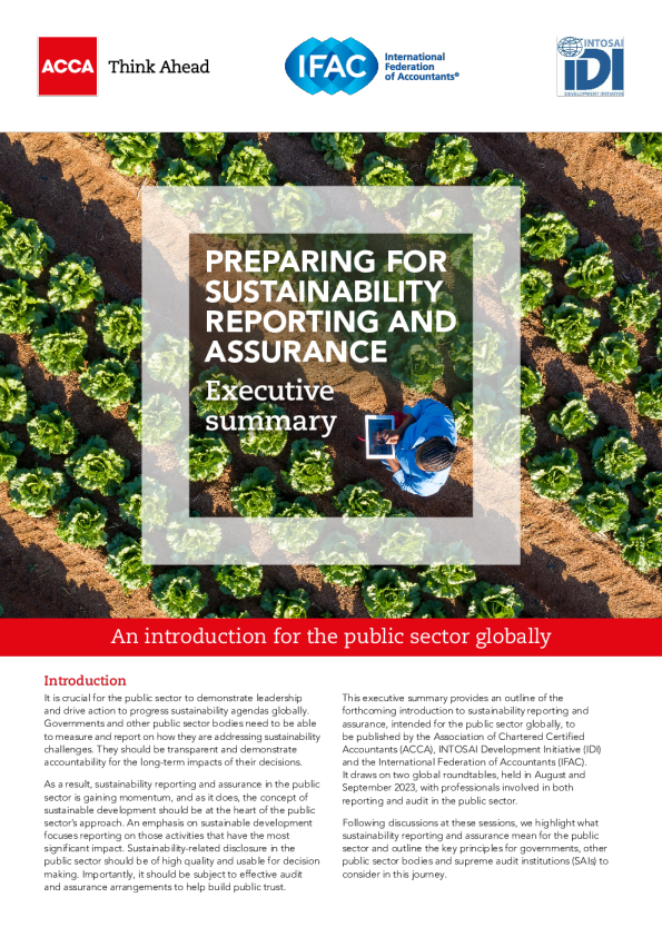 公共部门可持续发展报告准备