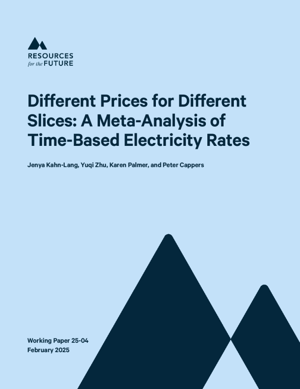 不同切片的不同价格：基于时间的电价的元分析