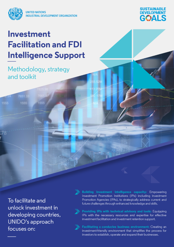 投资便利化和外国直接投资情报支持