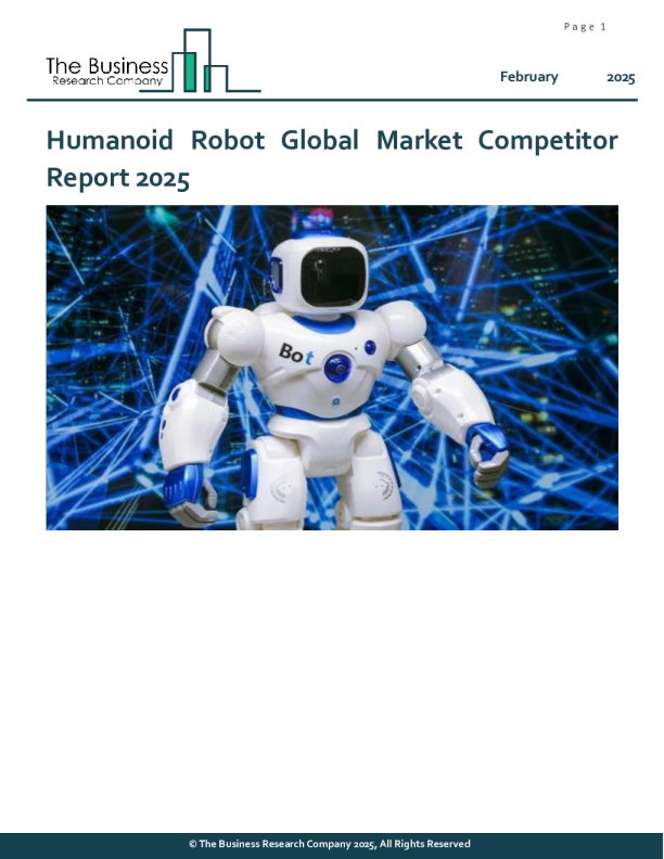 2025年全球人形机器人市场竞争格局报告