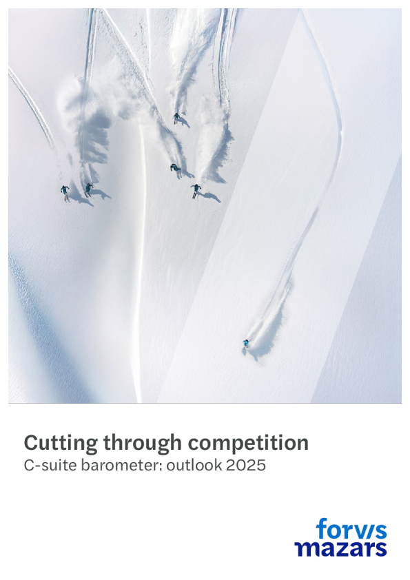 高管晴雨表：2025年展望