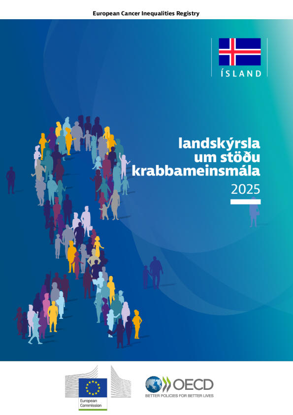 兰茨克基拉岛：2025年