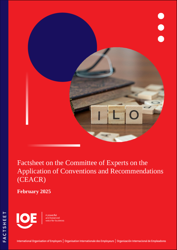 公约和建议执行问题专家委员会