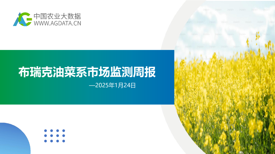 布瑞克油菜系市场监测周报