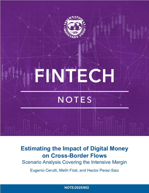估计数字货币对跨境流动的影响：涵盖密集边界的情景分析