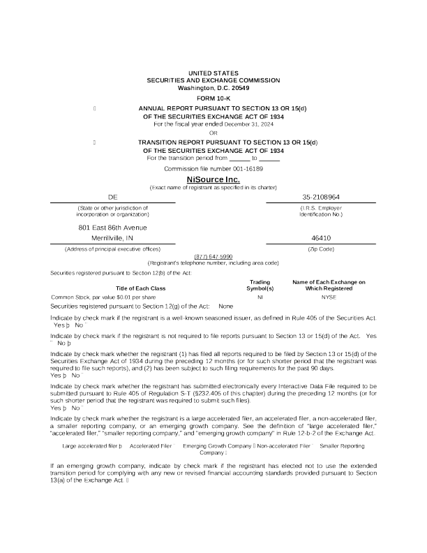 尼索思 2024年度报告