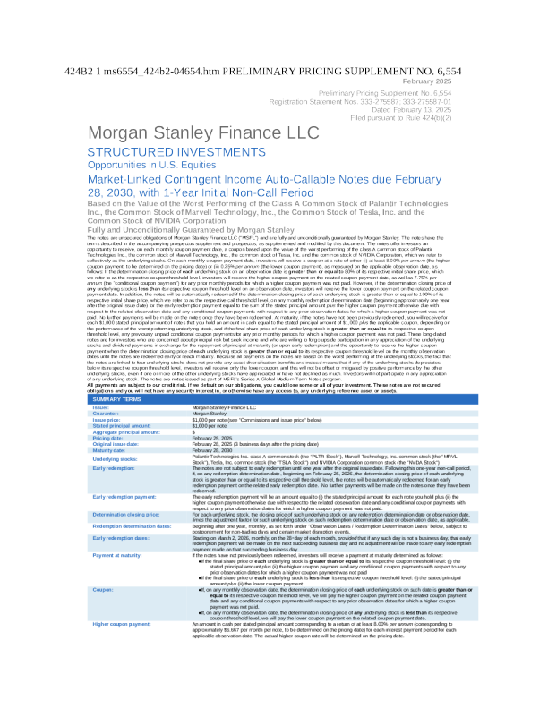 摩根士丹利美股招股说明书(2025-02-13版)