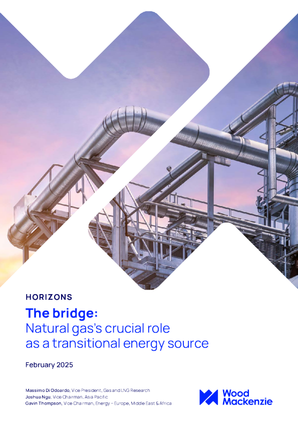 桥梁：天然气作为过渡能源的关键作用