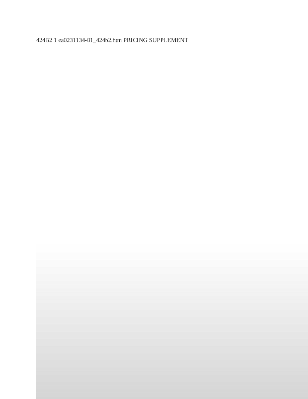 摩根大通美股招股说明书(2025-02-14版)