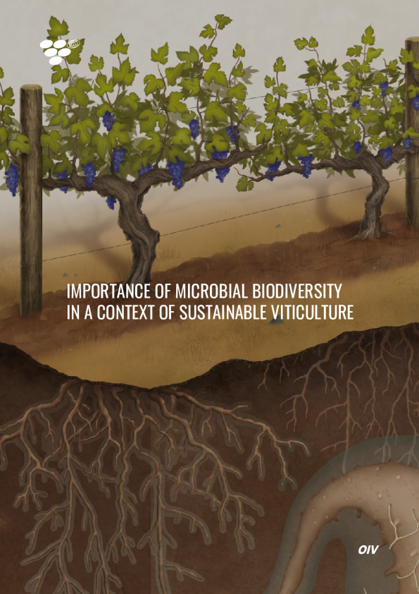 微生物生物多样性在可持续葡萄栽培中的重要性