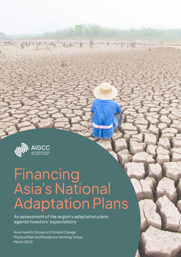 为亚洲国家适应计划提供资金：对该地区适应计划与投资者期望的评估