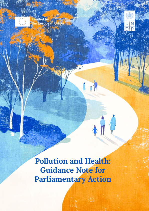污染与健康：议会行动指导说明2025