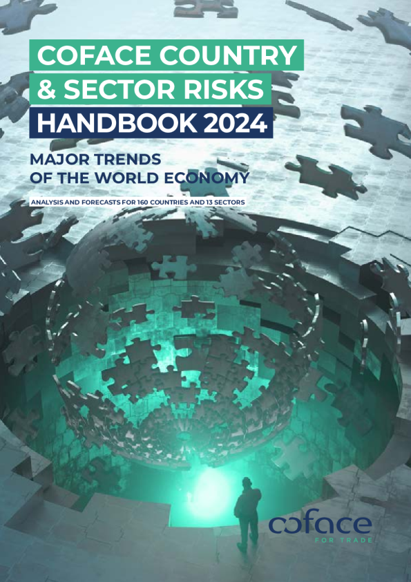 COUNTRY & SECTOR RISKS HANDBOOK 2024