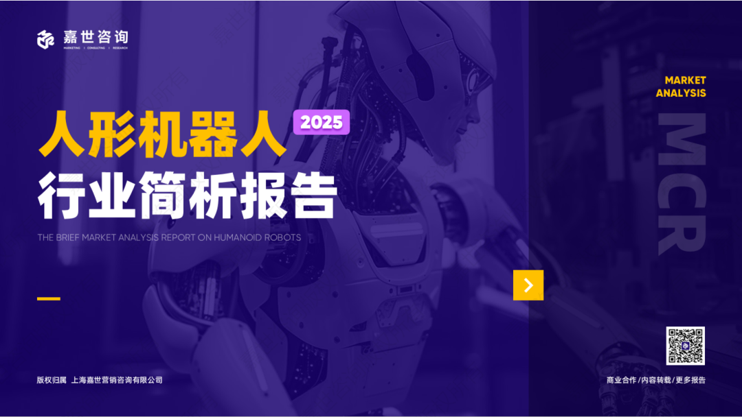 2025人形机器人行业简析报告