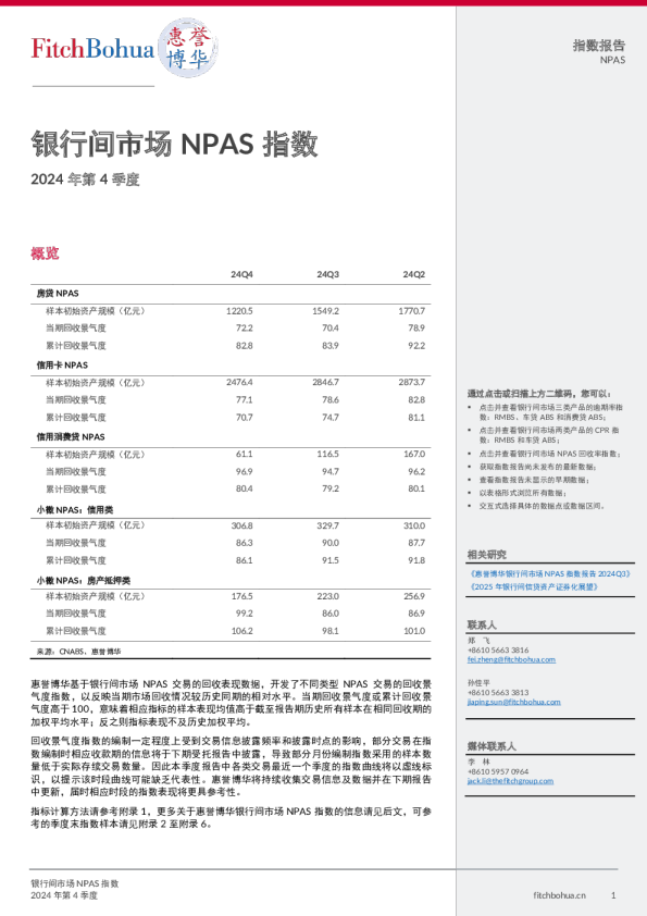 银行间市场NPAS指数2024年第4季度