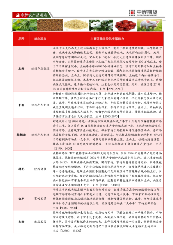 中辉农产品观点
