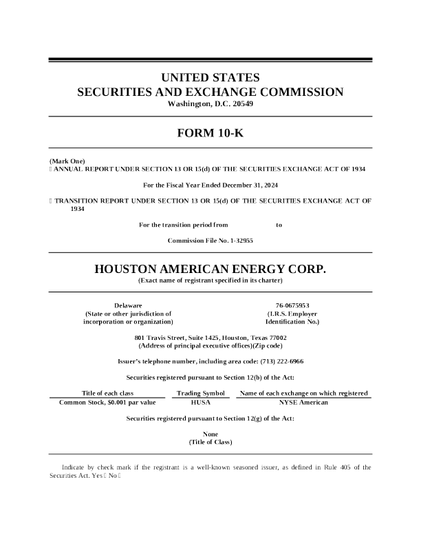 休斯敦能源 2024年度报告