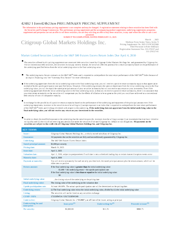 花旗集团美股招股说明书(2025-02-24版)