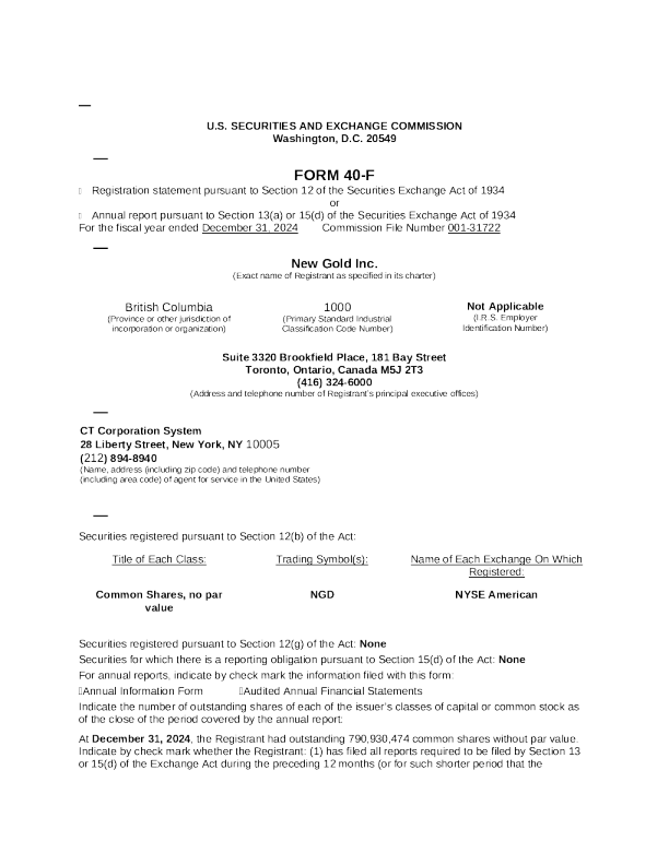 New Gold Inc 2024年度报告