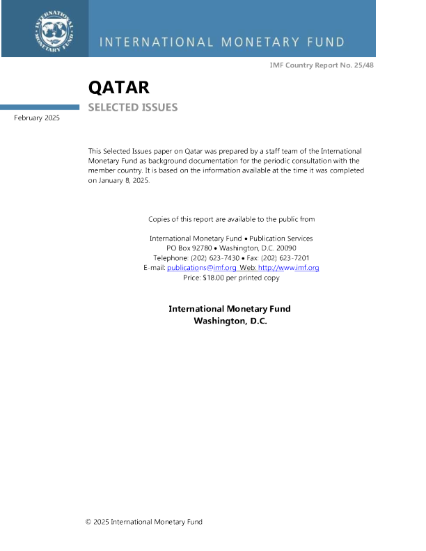 卡塔尔：选定问题