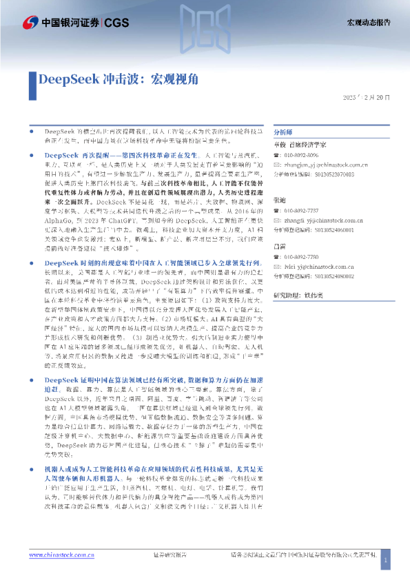 2025年Deepseek分析报告