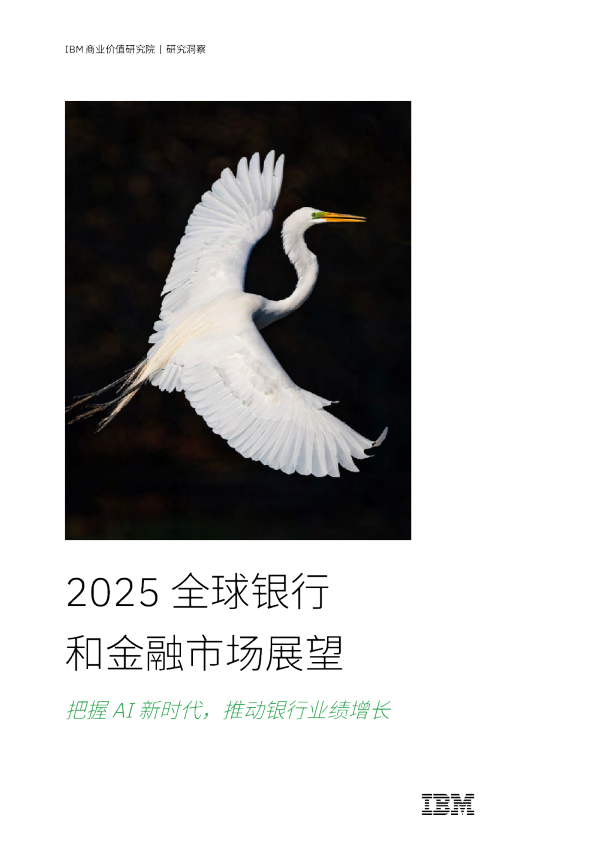 2025全球银行和金融市场展望报告：把握AI新时代，推动银行业绩增长