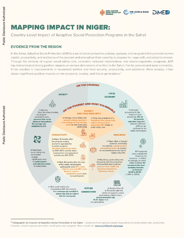 在尼日尔进行影响映射