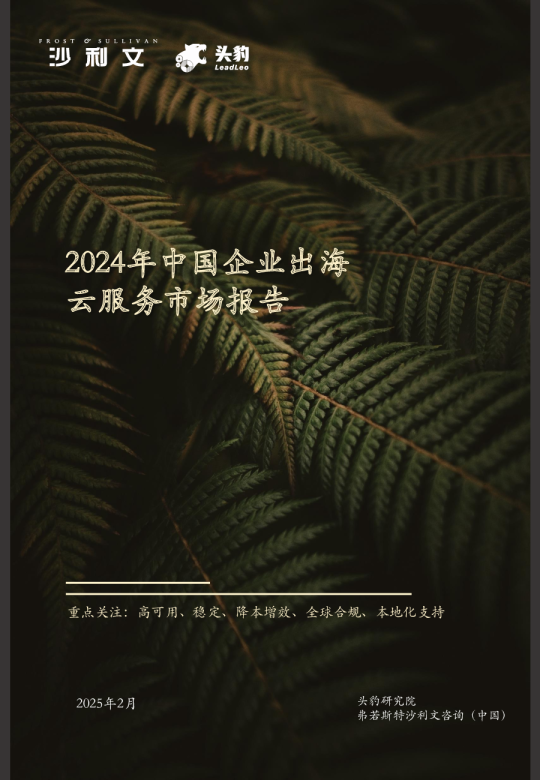 2024年中国企业出海云服务市场报告