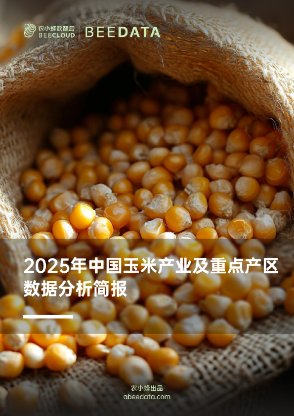 2025年中国玉米产业及重点产区数据分析简报