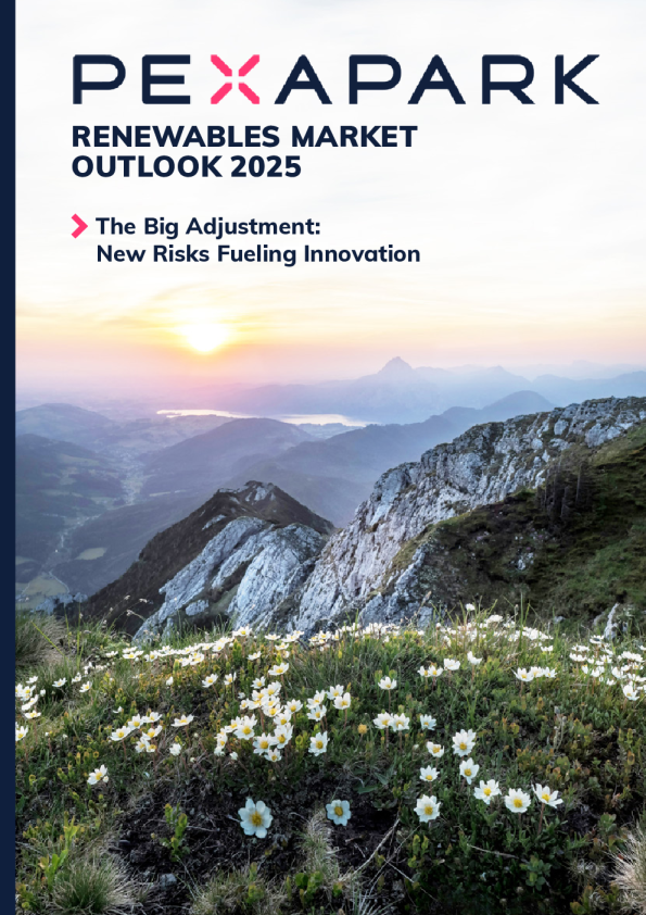 2025年可再生能源市场展望：大调整——新风险催生创新