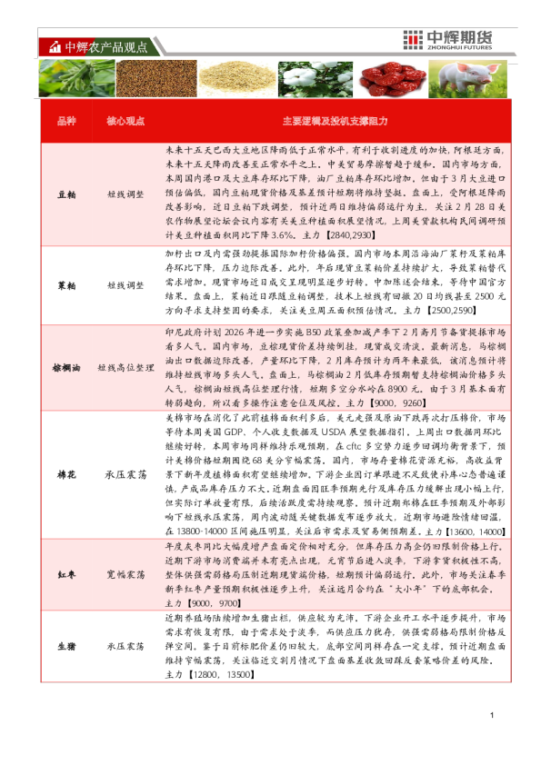 中辉农产品观点