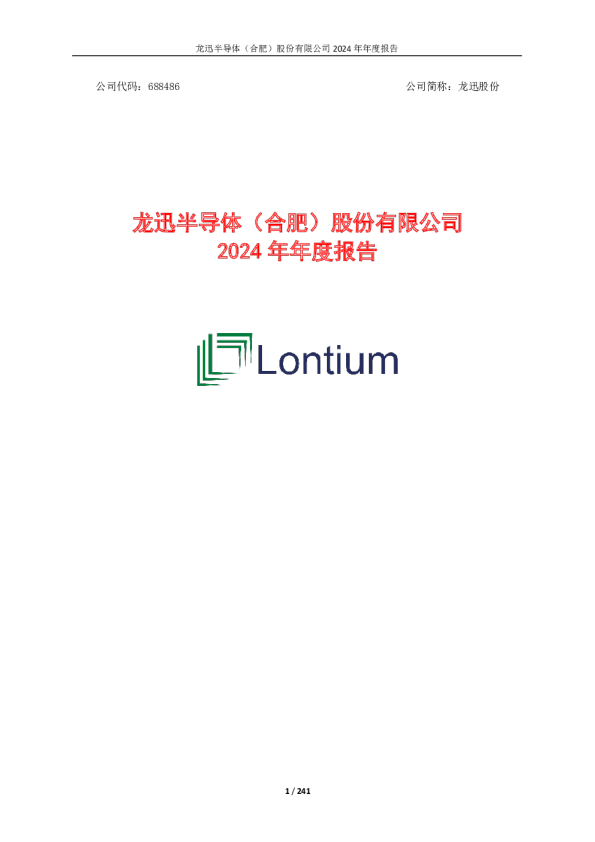 龙迅股份：龙迅股份2024年年度报告