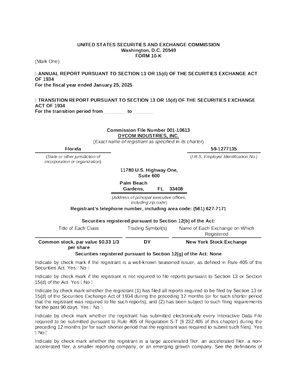 戴康工业 2024年度报告