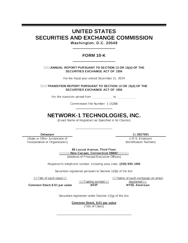 Network-1 Technologies Inc 2024年度报告