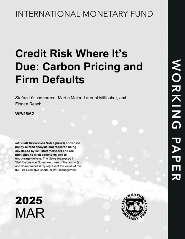 信用风险到期：碳定价和公司违约