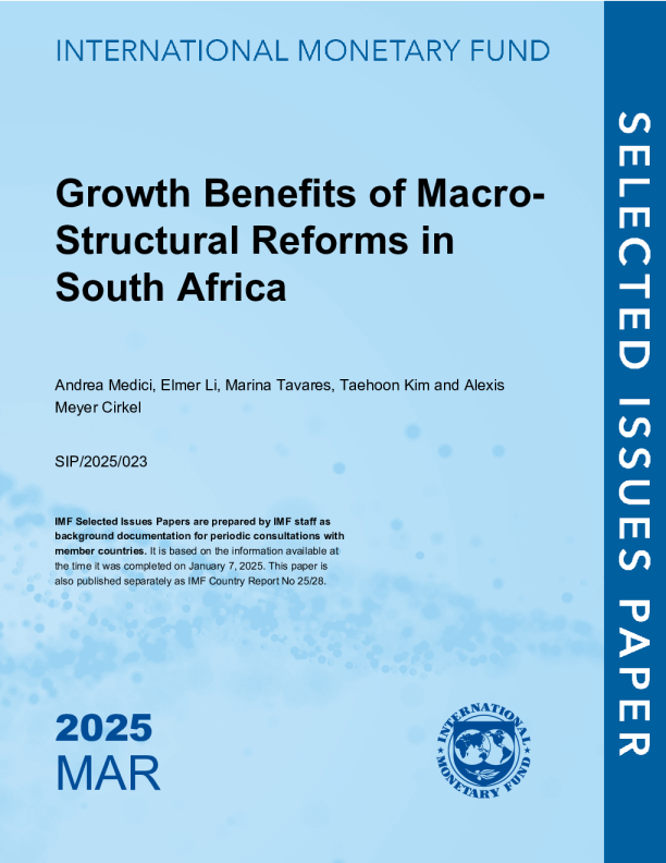 南非宏观结构改革的增长效益:南非