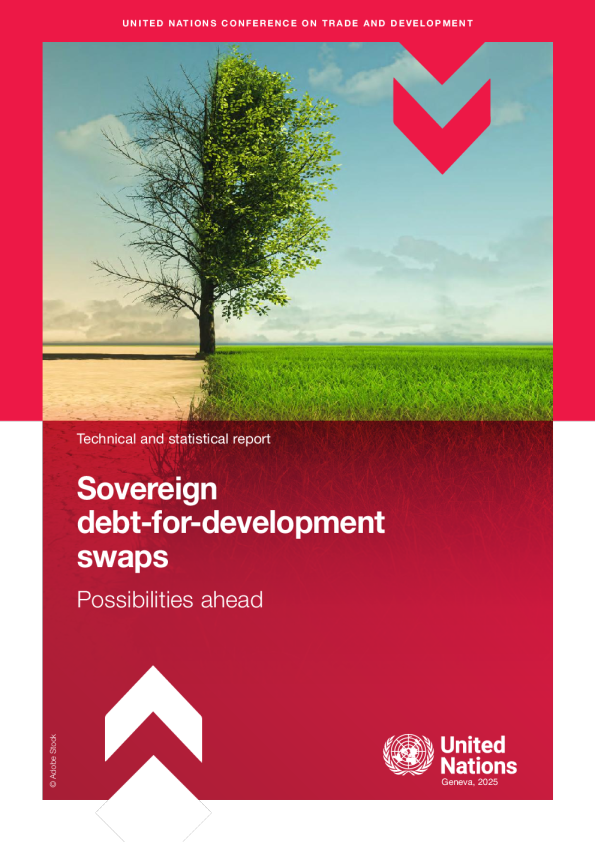 主权债务与发展互换 技术与统计报告